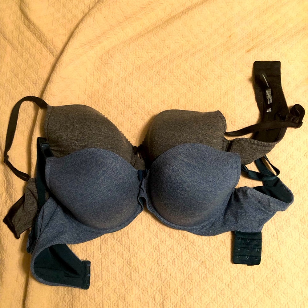 Torrid Bras